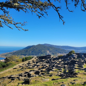 WhatsApp Image 2025-03-31 à 12.12.45_6fc9a4f7