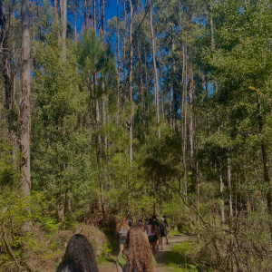 WhatsApp Image 2025-03-31 à 17.52.56_122dc237